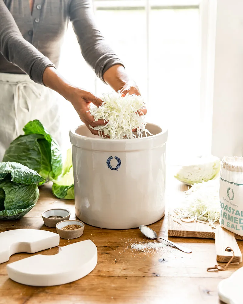 Grandma's Winter Brew: The Fermented Mountain Tonic That Beat Kombucha by a Century