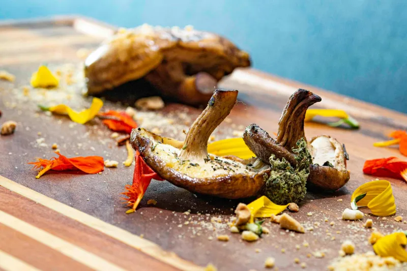 The Underground Flavor Highway That Connected Appalachian Kitchens for Centuries