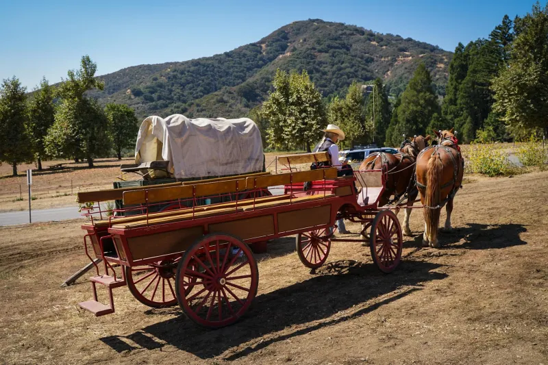 The Horse-Drawn Kitchens That Invented Late-Night Street Food in Industrial America