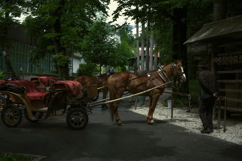 The Rolling Kitchen Windows That Taught America How to Eat on the Go
