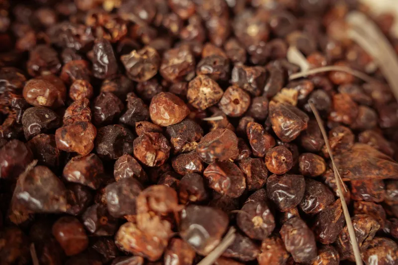 The Swamp Spice That Ruled American Kitchens Before Black Pepper Took Over